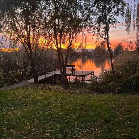 Nyárfás Panoráma *
