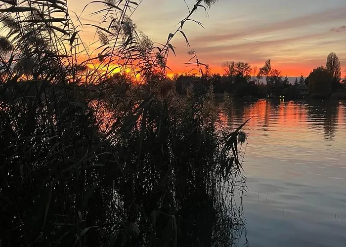 Nyaraló Nyárfás Panoráma *